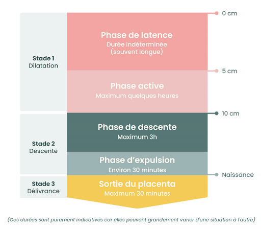 Accouchement eutocique ou dystocique : tout savoir may app santé