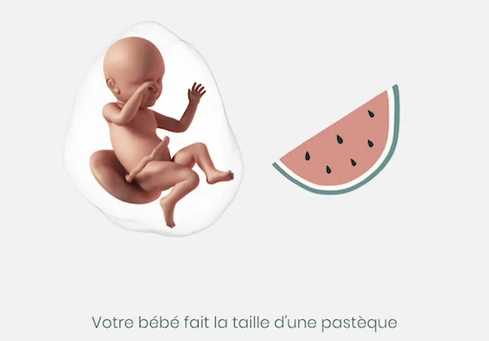 37ème semaine de grossesse – 39 SA : tout savoir May app santé