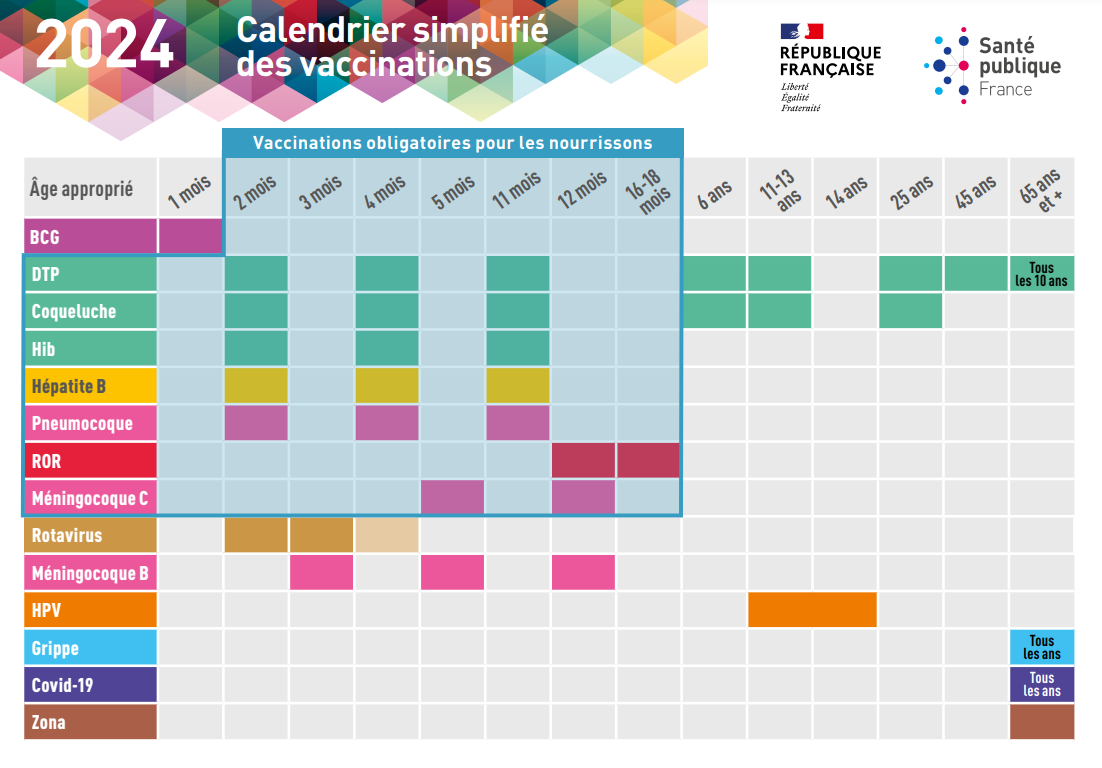 calendrier vaccinal simplifié 2024