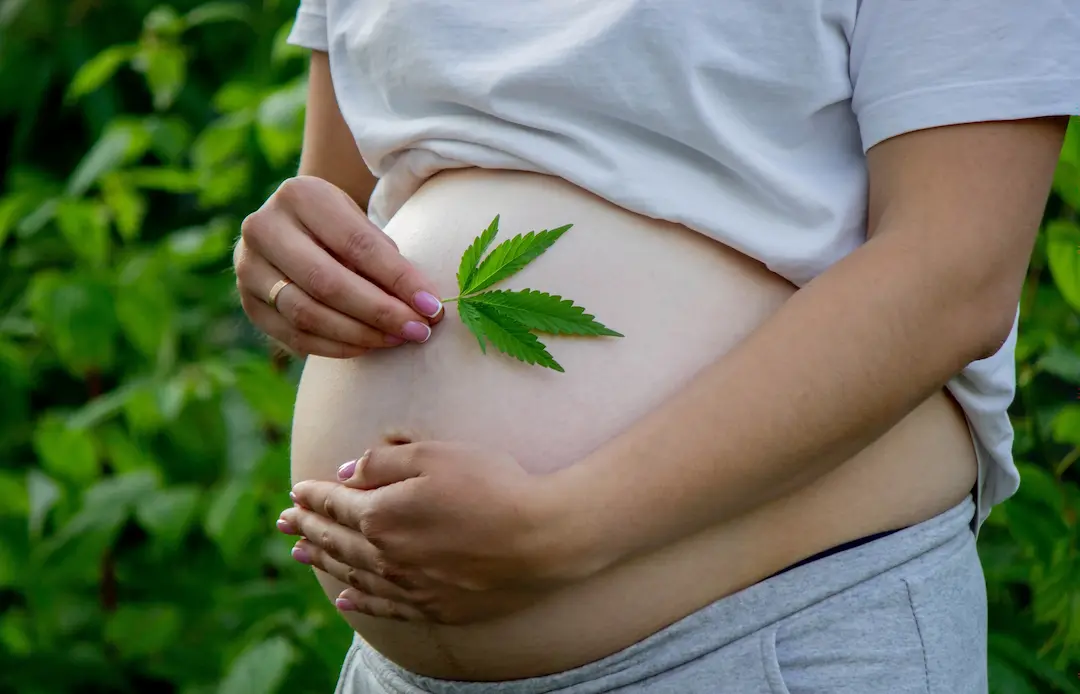 CBD et grossesse : précautions et informations may app santé