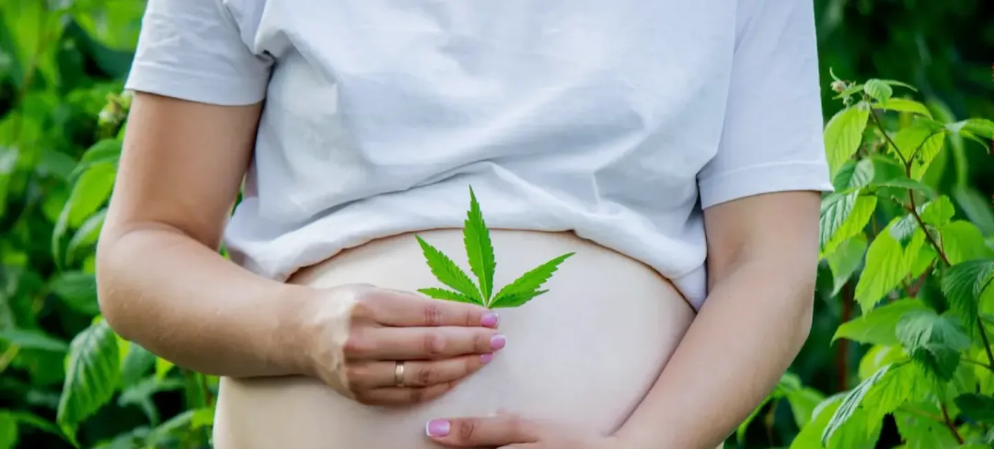 CBD et grossesse : précautions et informations may app santé