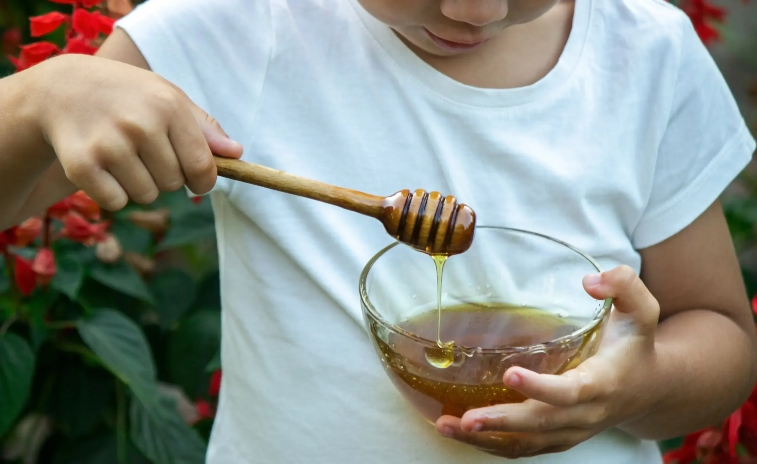 Miel et enfant : à partir de quel âge ? may app santé