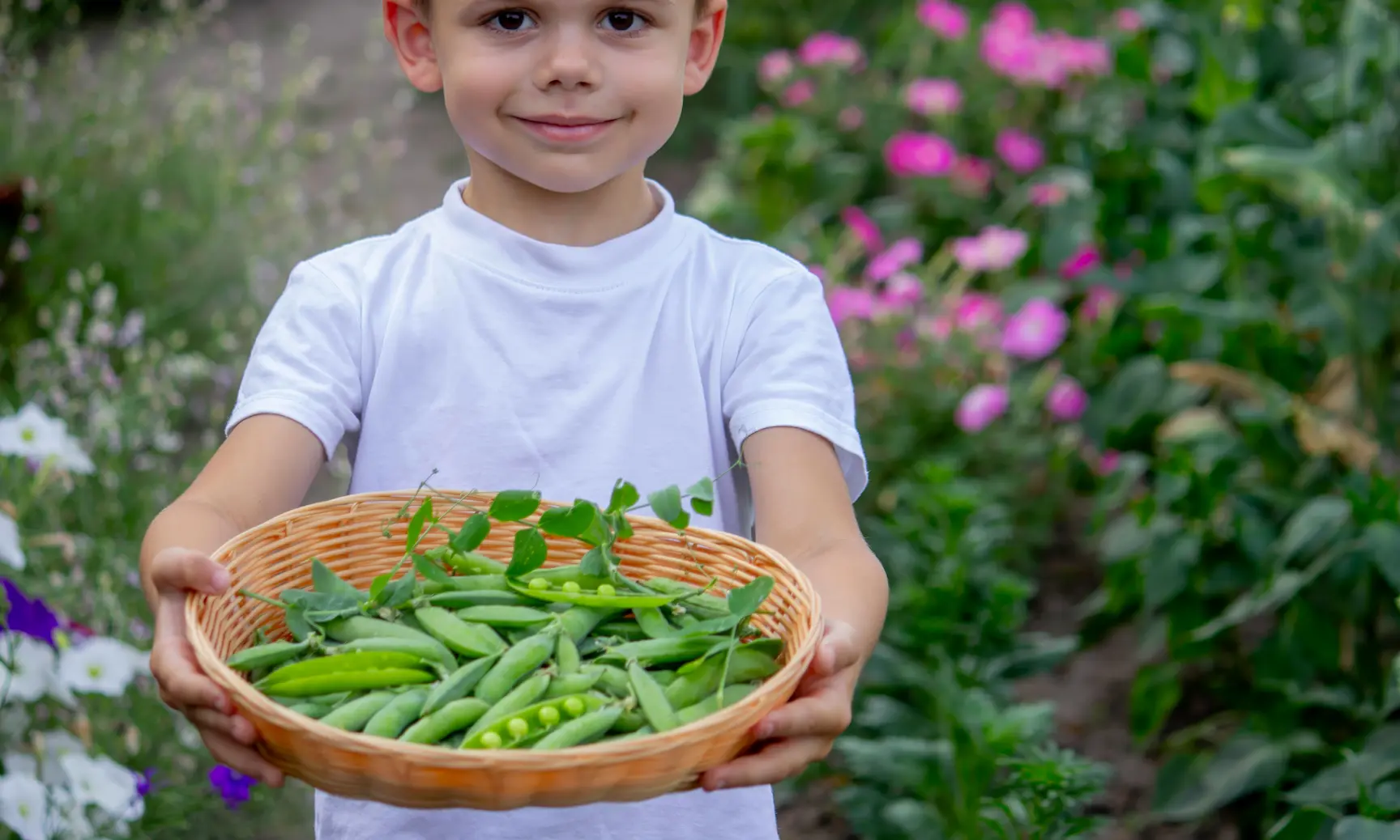 Anémie enfant : causes, risques et solutions may app santé